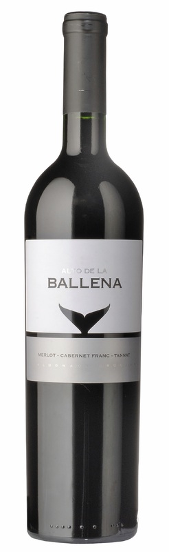 alto_ballena_classico.jpg