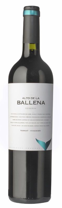 alto_ballena_reserva.jpg