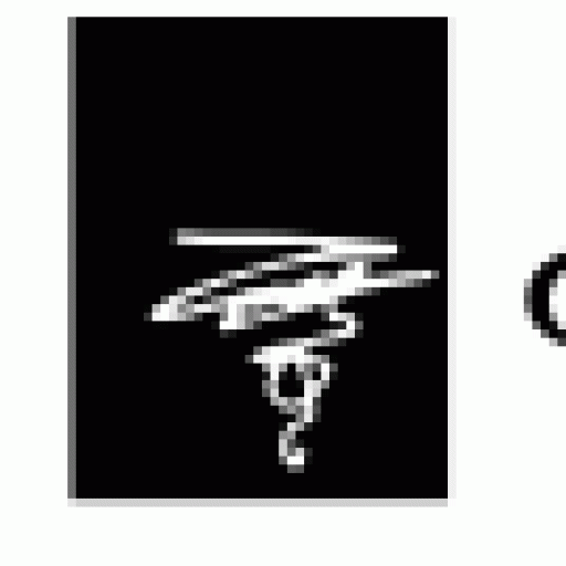cropped-logo.gif